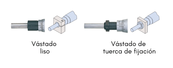 Tipos de vástagos
